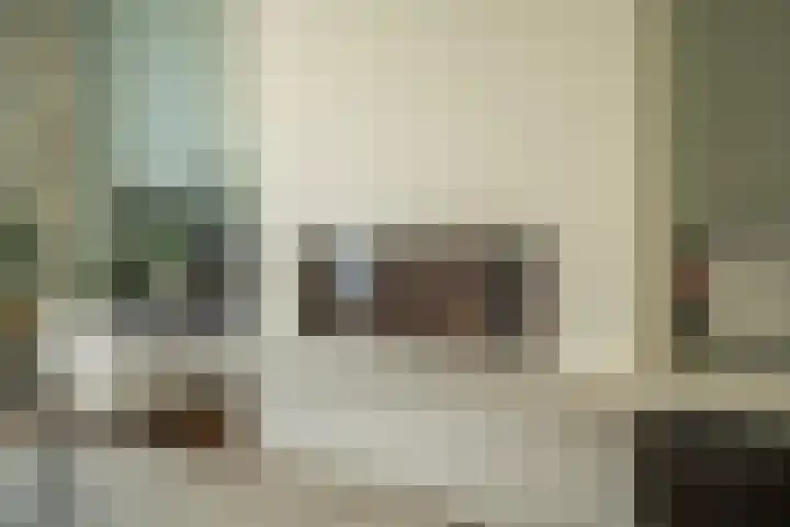 Ossewei 12 Rossum thumbnail 21