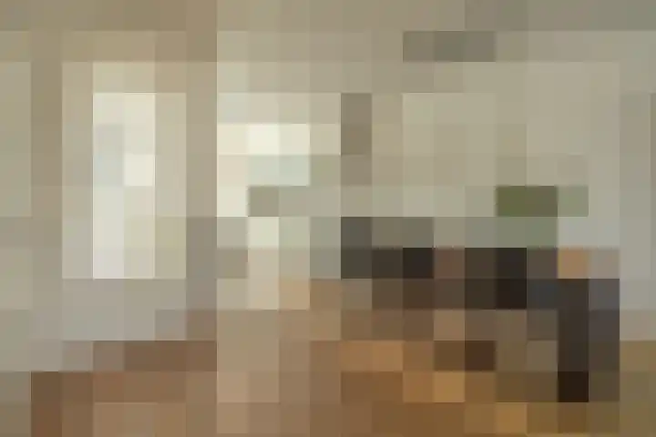 Ossewei 12 Rossum thumbnail 23