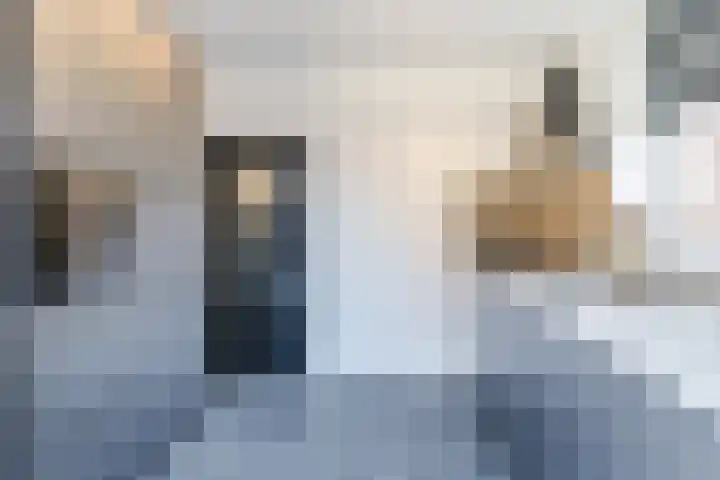 Ossewei 12 Rossum thumbnail 24