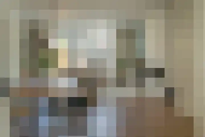 Ossewei 12 Rossum thumbnail 24