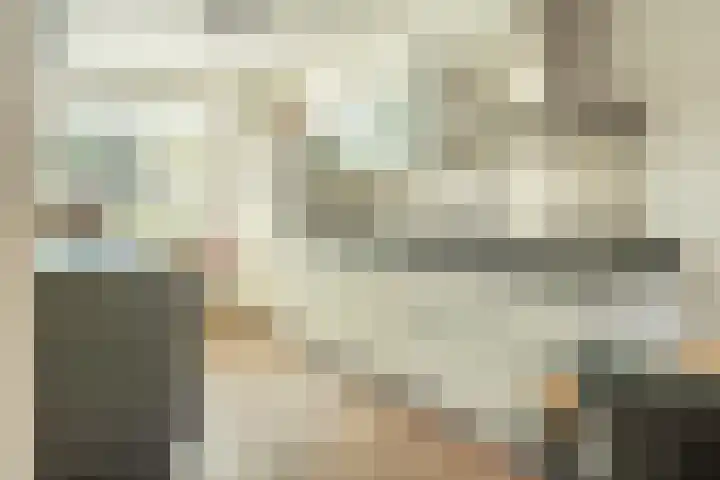 Ossewei 12 Rossum thumbnail 26
