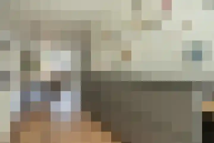 Ossewei 12 Rossum thumbnail 29