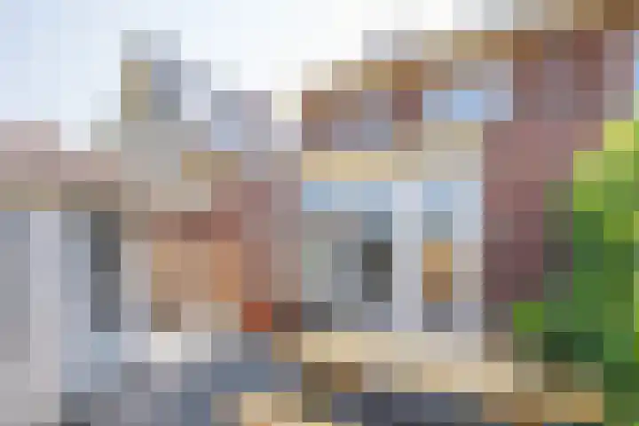 Ossewei 12 Rossum thumbnail 30
