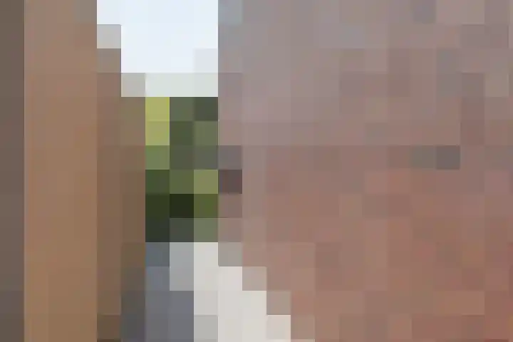 Ossewei 12 Rossum thumbnail 33