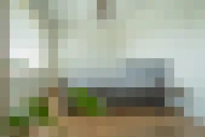 Ossewei 12 Rossum thumbnail 36