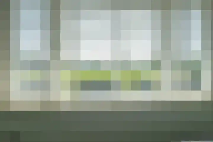 Ossewei 12 Rossum thumbnail 38