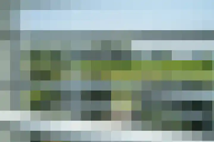 Ossewei 12 Rossum thumbnail 39