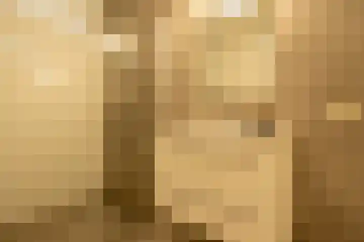 Ossewei 12 Rossum thumbnail 44
