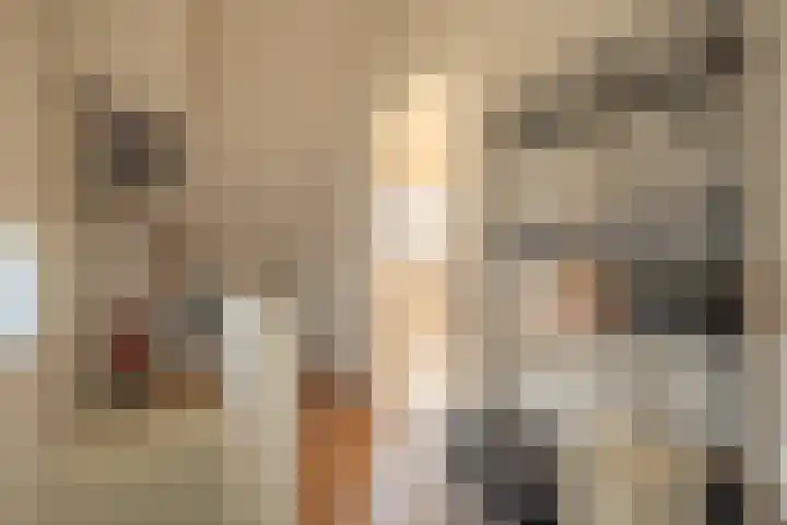 Ossewei 12 Rossum thumbnail 46