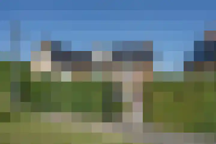 Ossewei 12 Rossum thumbnail 48