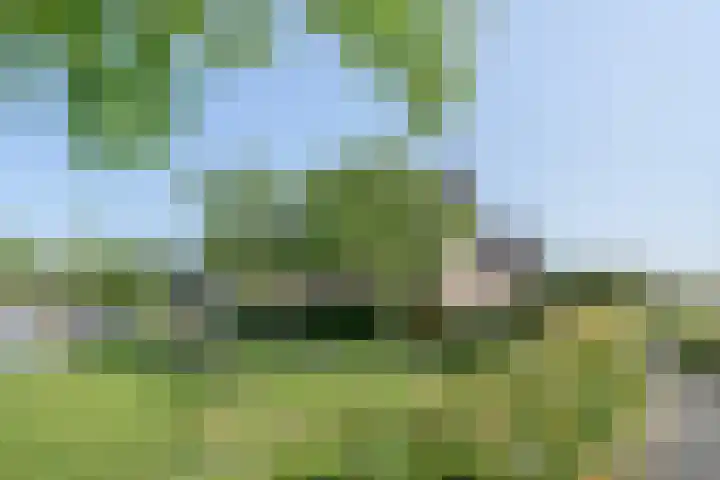 Ossewei 12 Rossum thumbnail 49
