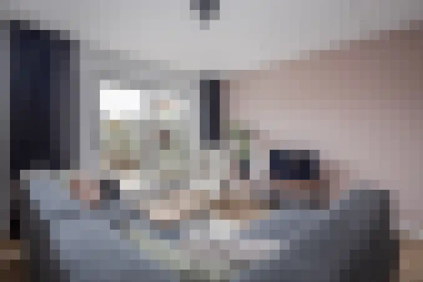 Osseweid 10 Venhuizen thumbnail 10