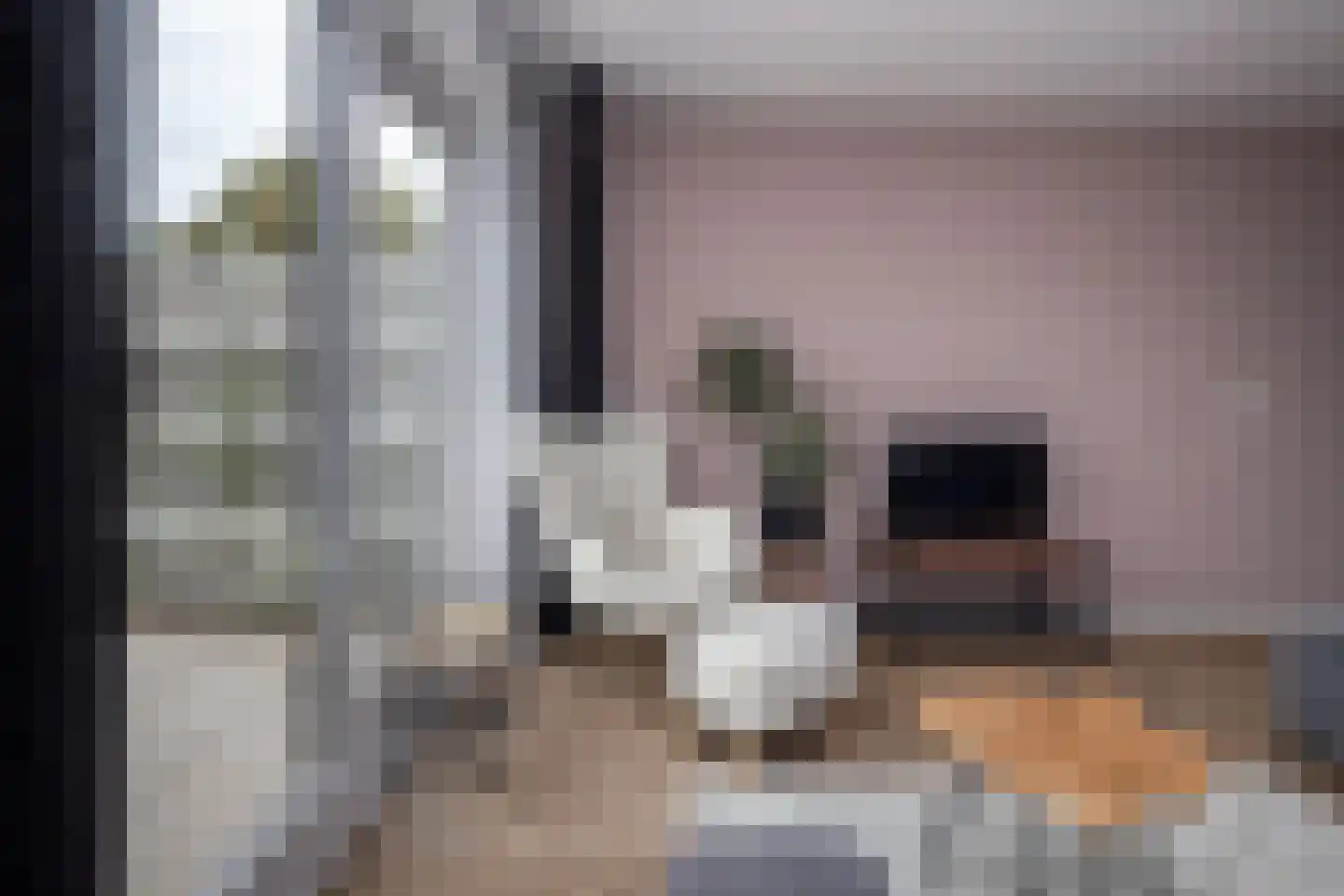 Osseweid 10 Venhuizen thumbnail 11