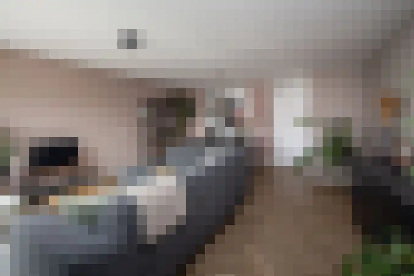 Osseweid 10 Venhuizen thumbnail 13