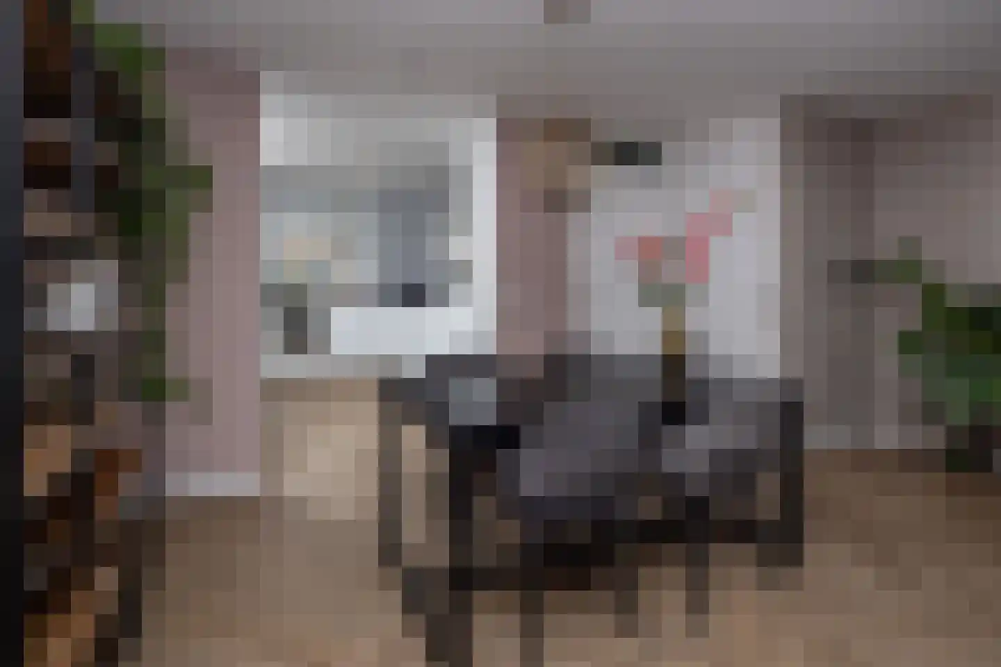 Osseweid 10 Venhuizen thumbnail 14