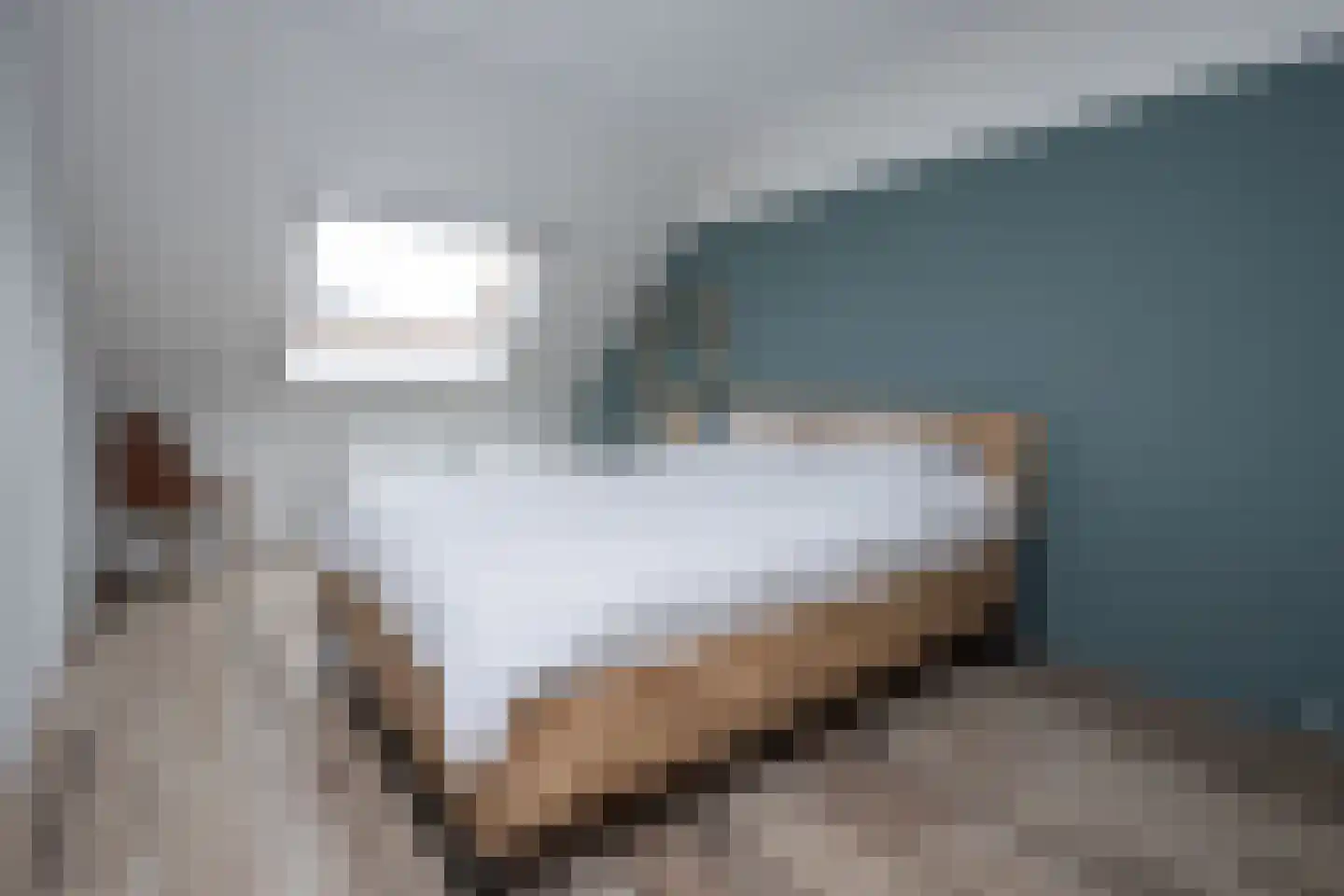 Osseweid 10 Venhuizen thumbnail 20