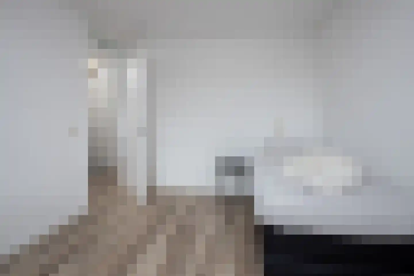 Osseweid 10 Venhuizen thumbnail 23