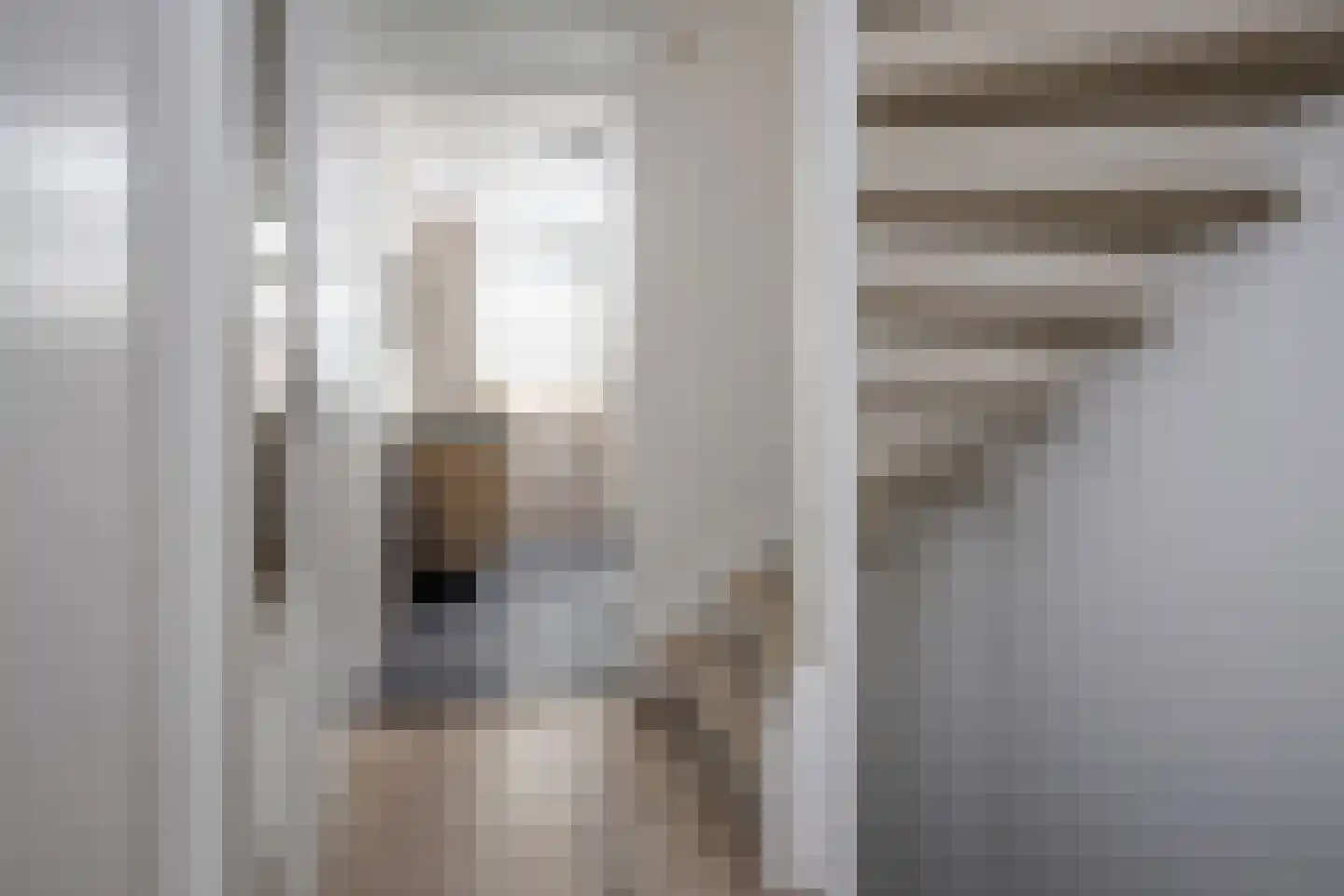 Osseweid 10 Venhuizen thumbnail 24