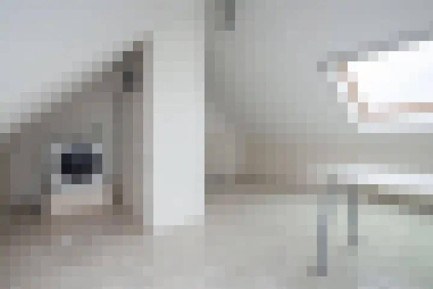 Osseweid 10 Venhuizen thumbnail 28