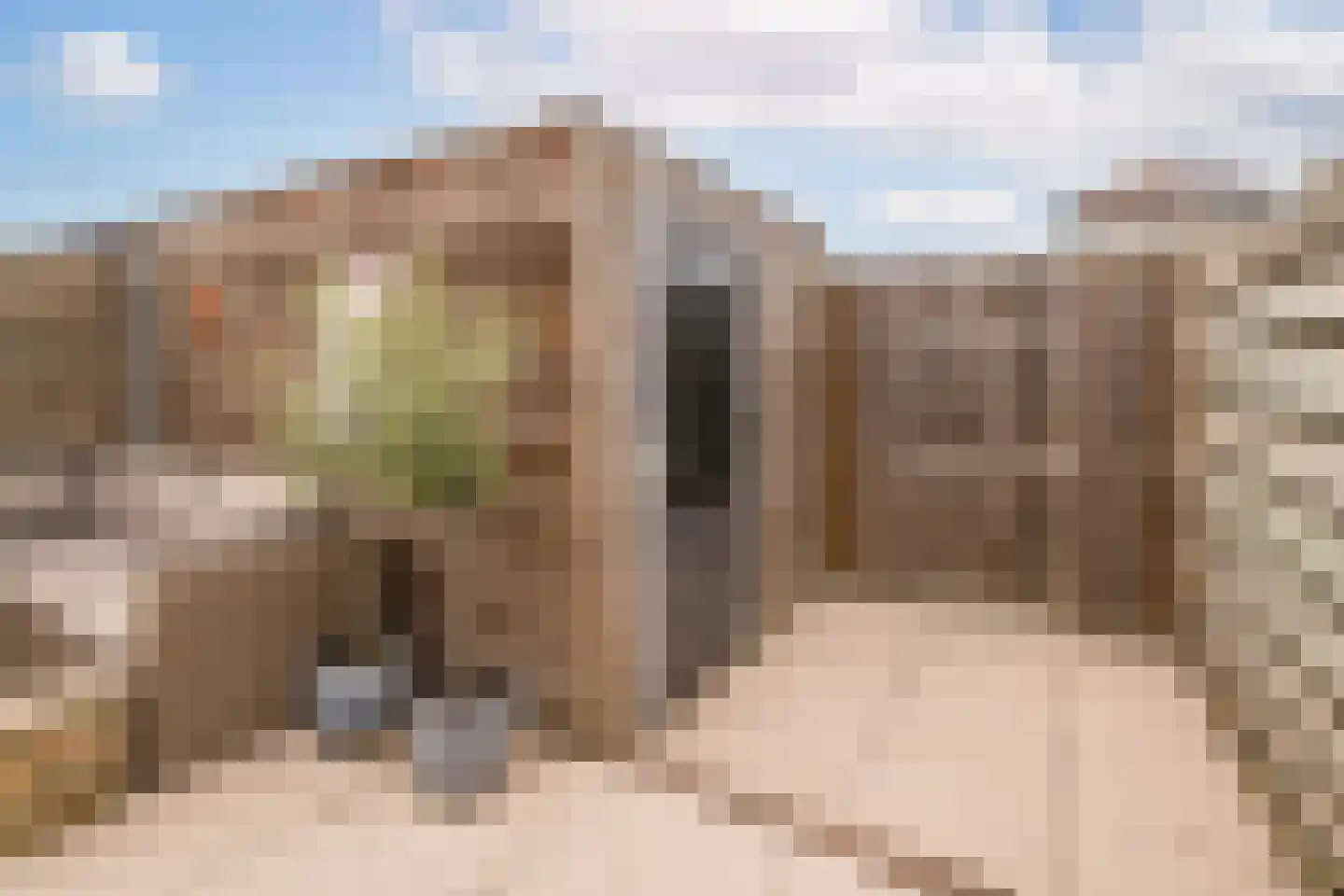 Osseweid 10 Venhuizen thumbnail 31