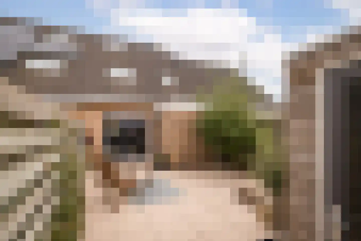 Osseweid 10 Venhuizen thumbnail 32