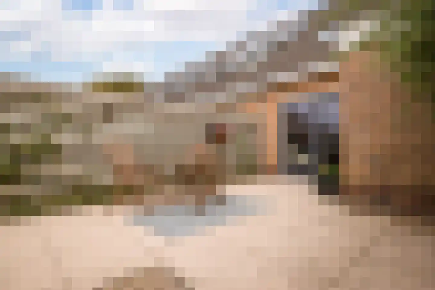 Osseweid 10 Venhuizen thumbnail 34