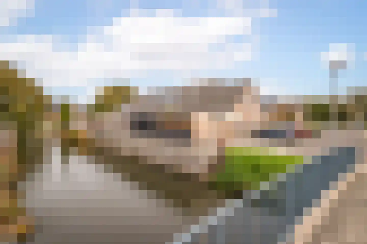 Osseweid 10 Venhuizen thumbnail 38