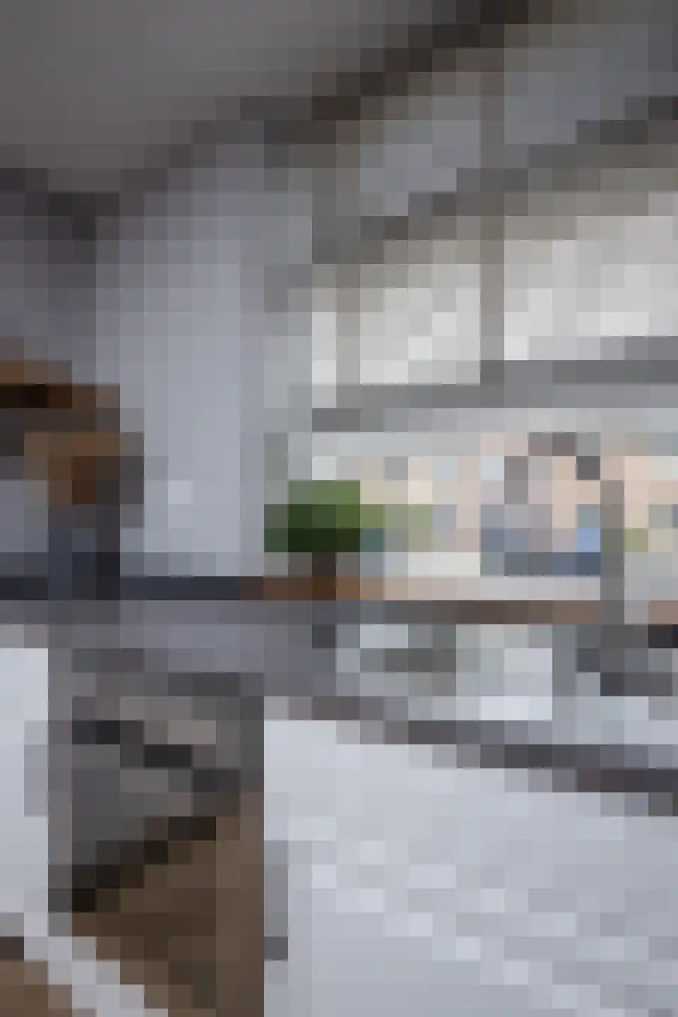 Osseweid 10 Venhuizen thumbnail 47