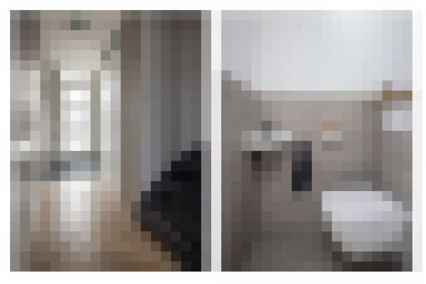 Osseweid 10 Venhuizen thumbnail 8