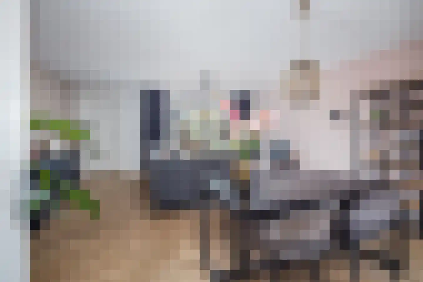 Osseweid 10 Venhuizen thumbnail 9