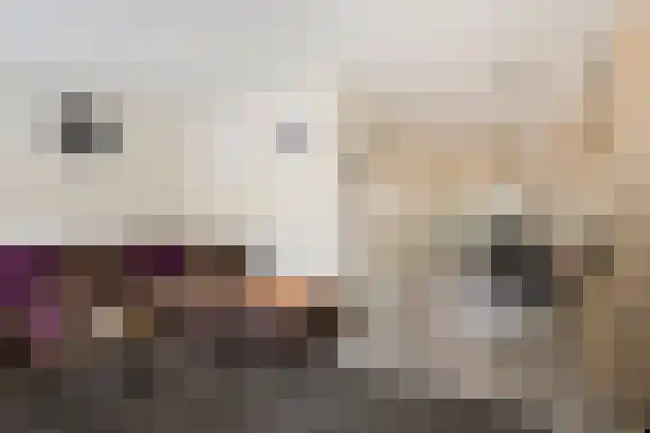Osseweid 42 Midwoud thumbnail 10