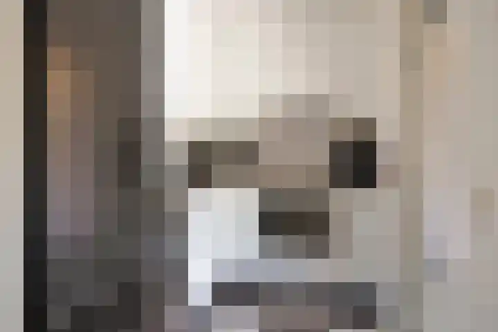 Osseweid 42 Midwoud thumbnail 14