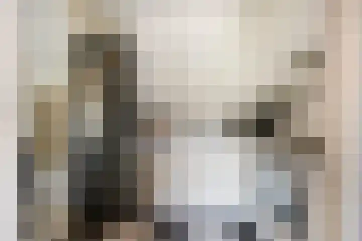 Osseweid 42 Midwoud thumbnail 15