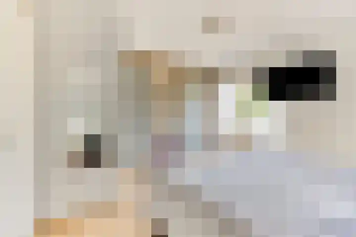 Osseweid 42 Midwoud thumbnail 17