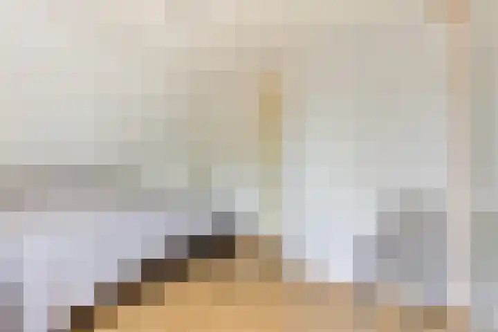 Osseweid 42 Midwoud thumbnail 18