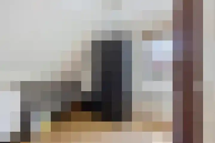 Osseweid 42 Midwoud thumbnail 19