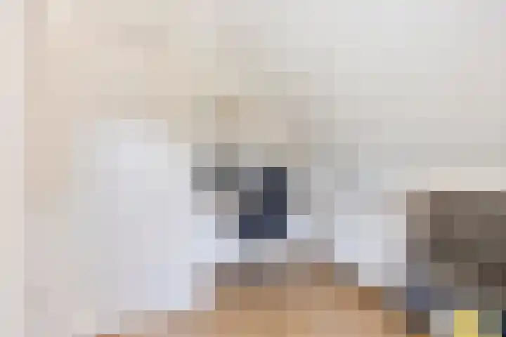 Osseweid 42 Midwoud thumbnail 20