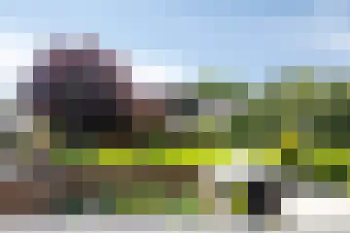 Osseweid 42 Midwoud thumbnail 24