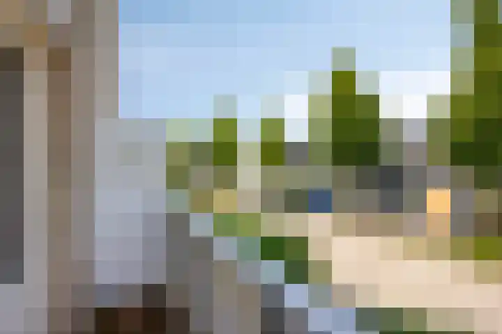 Osseweid 42 Midwoud thumbnail 28