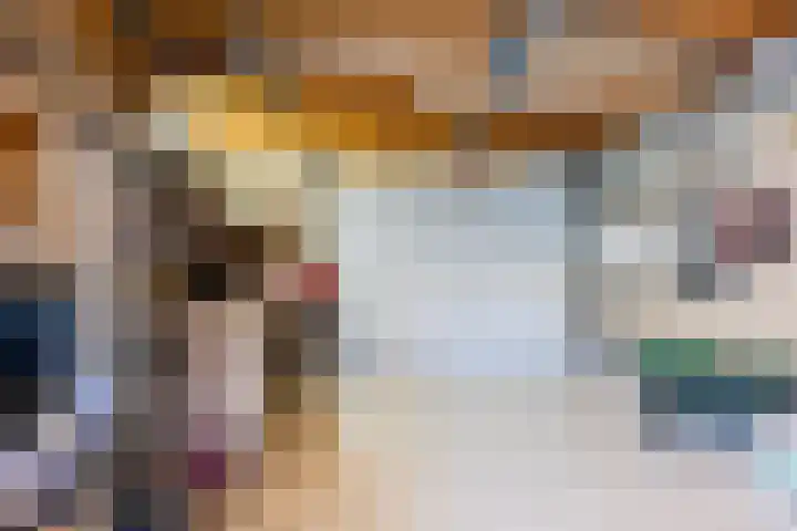 Osseweid 42 Midwoud thumbnail 30