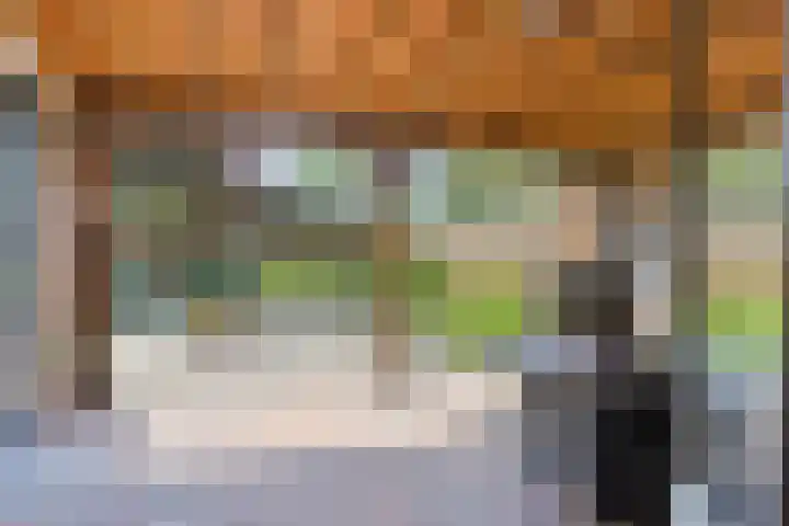 Osseweid 42 Midwoud thumbnail 33