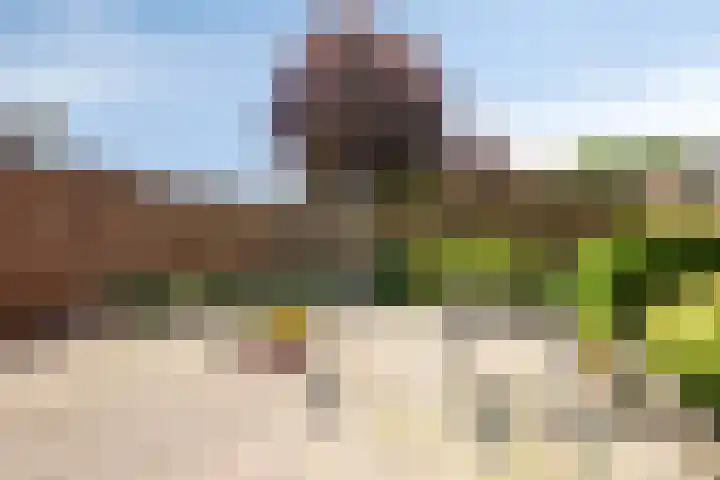 Osseweid 42 Midwoud thumbnail 34