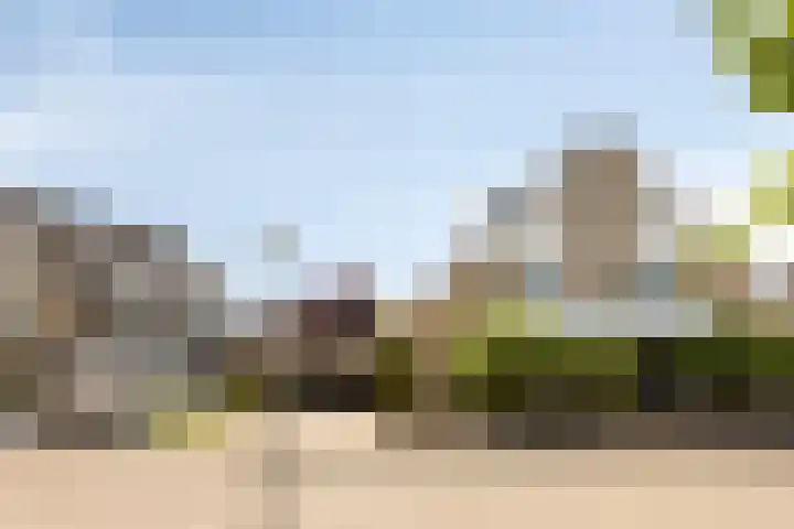 Osseweid 42 Midwoud thumbnail 36