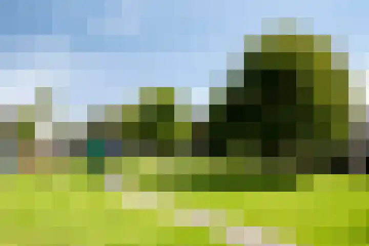 Osseweid 42 Midwoud thumbnail 38