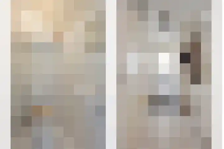 Osseweid 42 Midwoud thumbnail 7