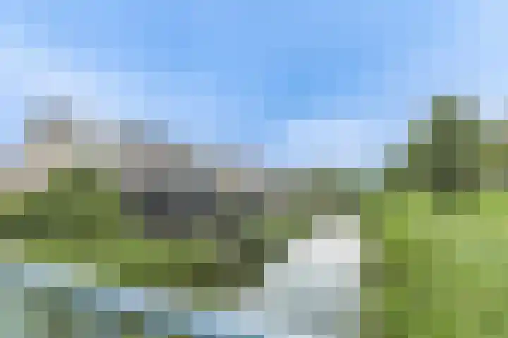 Osseweid 48 Venhuizen thumbnail 10
