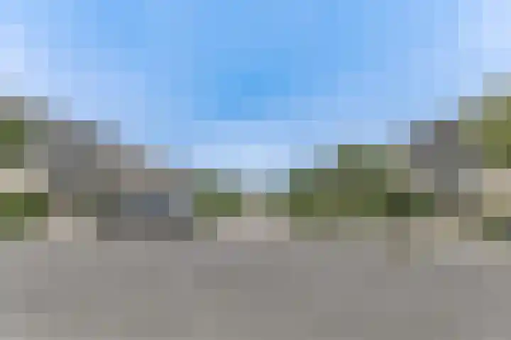 Osseweid 48 Venhuizen thumbnail 11