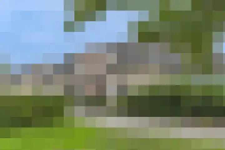 Osseweid 48 Venhuizen thumbnail 13