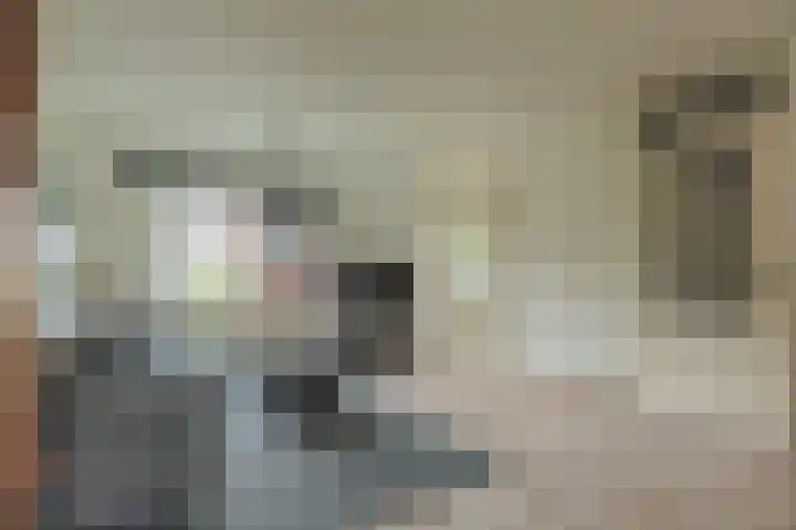 Osseweid 48 Venhuizen thumbnail 16