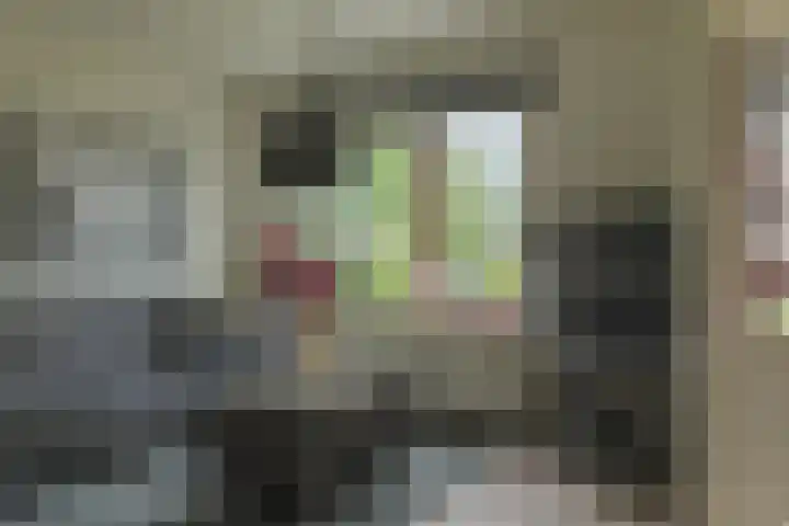 Osseweid 48 Venhuizen thumbnail 18